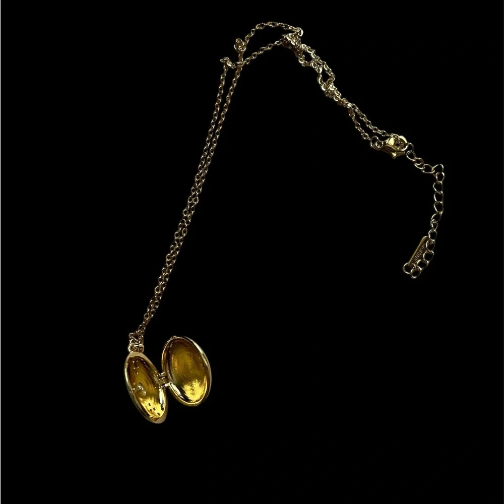 Blue and Pink Locket 18K Gold-Plated Stainless Steel Crystal Necklace